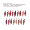 HOT LIPS LIP KIT MAKEUP KIT