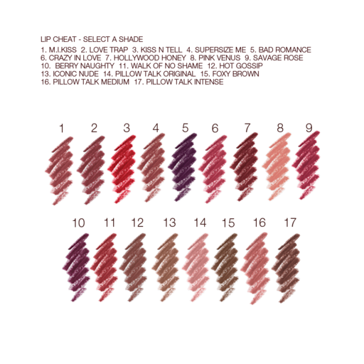 HOT LIPS LIP KIT MAKEUP KIT