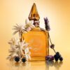 STAR CONFIDENCE PERFUME GIFT SET